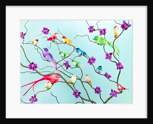 Fake birds on branches by Assaf Frank